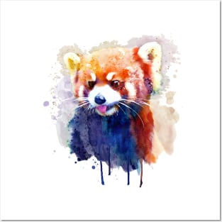 Red Panda Portrait Posters and Art